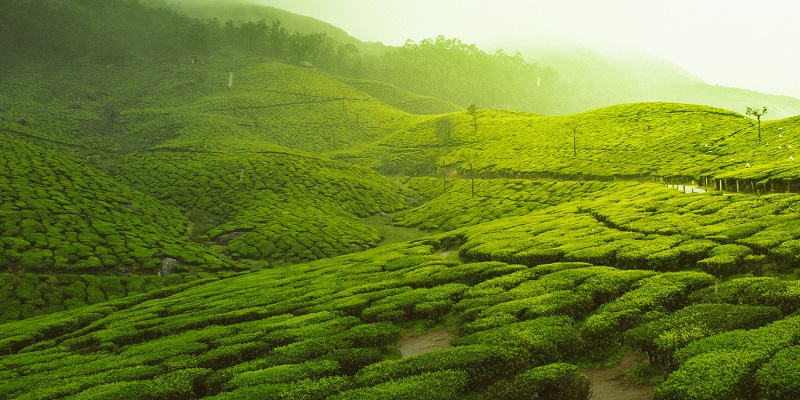 Munnar