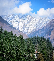 Delhi-Manali Volvo Tour Package 