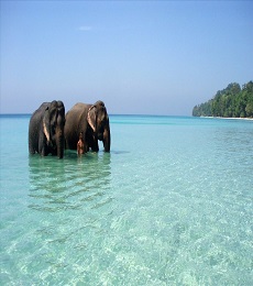 Port Blair with Coral Island North Bay and Ross Island, Havelock 