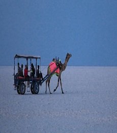 Rann of Kutch with Ahmedabad Tour Package 